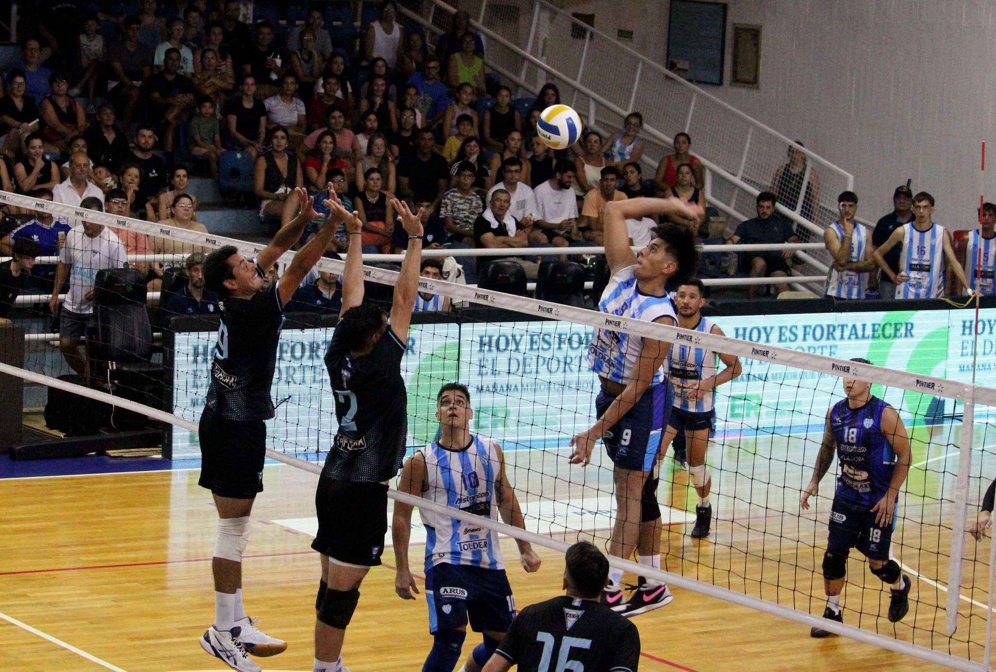 Vóley (LNVM): El 9 de enero comienza la Copa Lusqtoff de la Liga Argentina