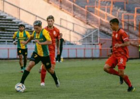 aldosivi