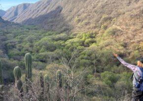 trekking