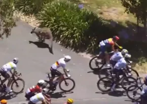 ciclismo