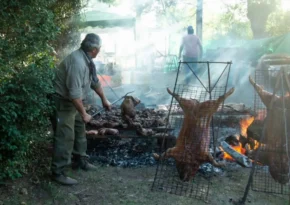 cerdo