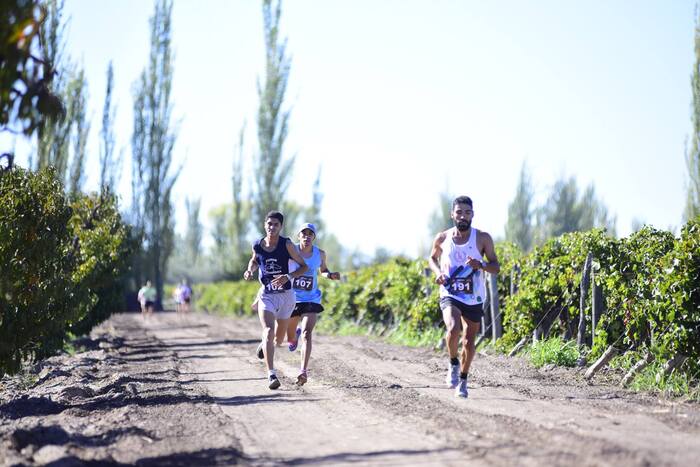 Se viene la Maratón Entre Viñas: deporte y paisajes en Algarrobo Grande