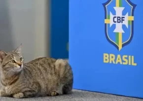 brasil