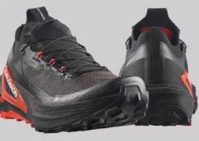 salomon