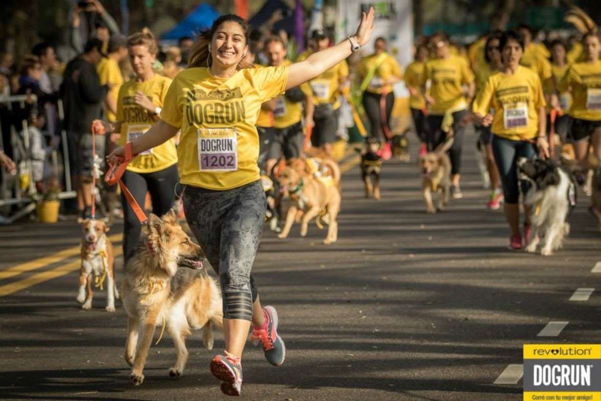 Dog Run: Un domingo para correr con tu perro